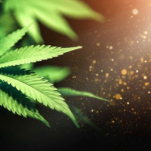 marihuana-jako-znak-towarowy-600